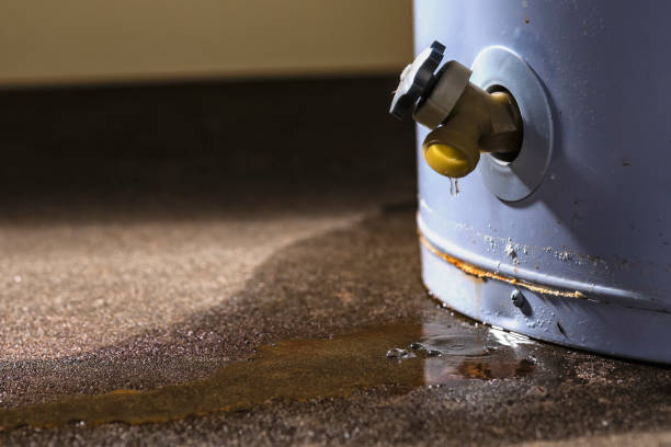 Best Emergency water extraction  in Mansfield, PA