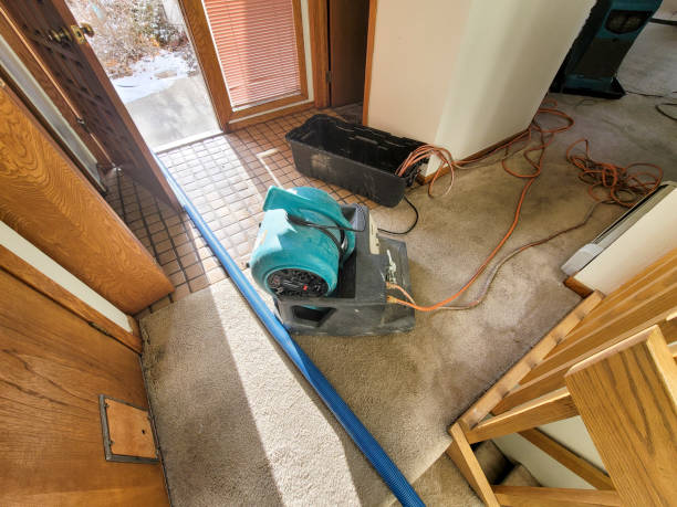 Best Carpet water damage restoration  in Mansfield, PA