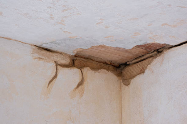 Best Sewage cleanup and water damage restoration  in Mansfield, PA